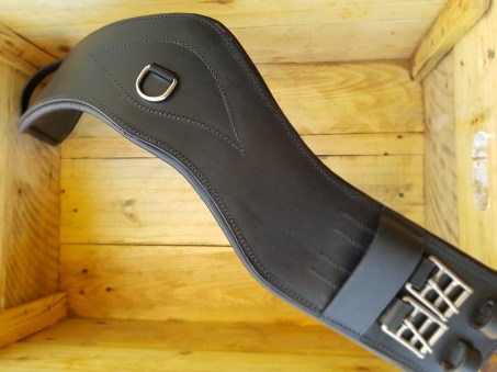 dressage anatomi